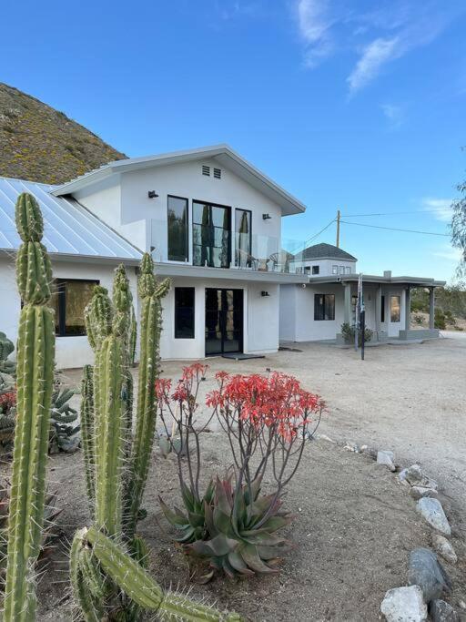 Two Pepper Ranch - A Desert Oasis Morongo Valley Dış mekan fotoğraf