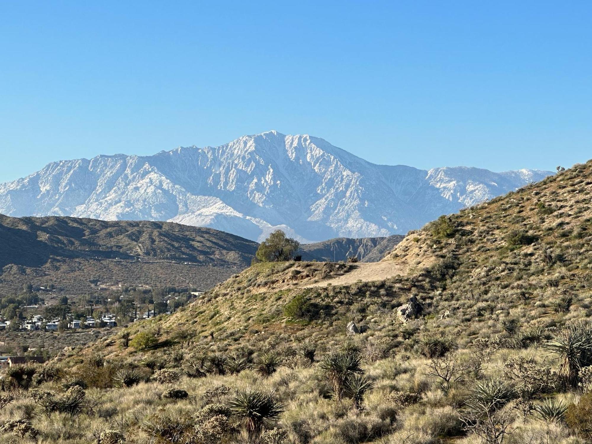 Two Pepper Ranch - A Desert Oasis Morongo Valley Dış mekan fotoğraf